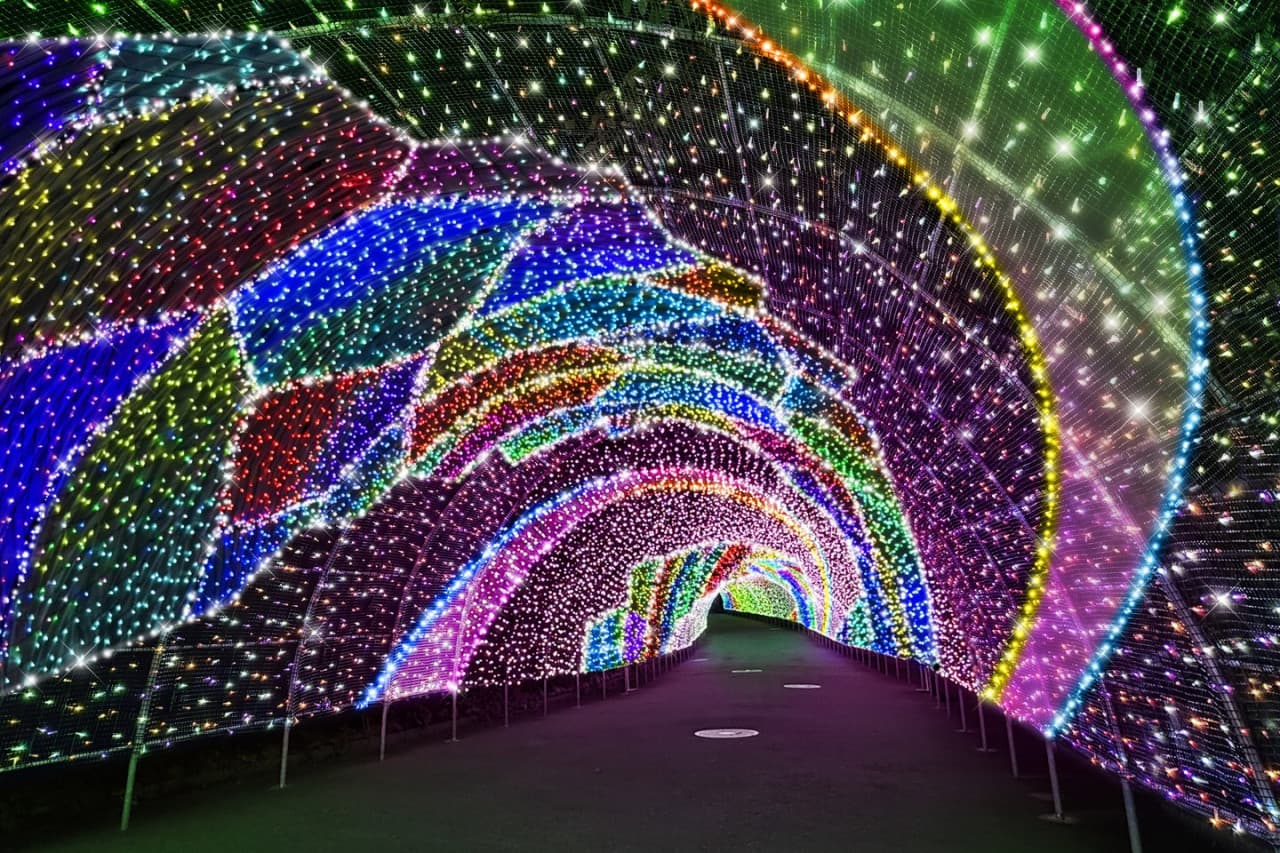 Entrada para el parque de diversiones Yomiuriland - imagen 5